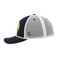 Nashville Predators HAT-BILLBOARD