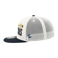 Nashville Predators HAT-STEELY