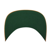 Nashville Predators 47 Brand Golden Age Hat