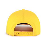 Nashville Predators 47 Brand Script Hat