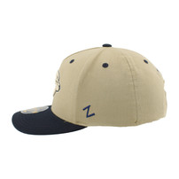 Nashville Predators Zephyr Desert Pine Hat