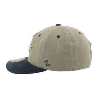 Nashville Predators Zephyr Polevault Hat