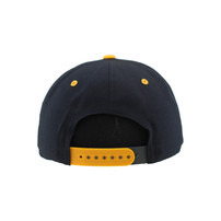 Nashville Predators Zephyr Darkside Hat
