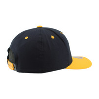 Nashville Predators Zephyr Darkside Hat