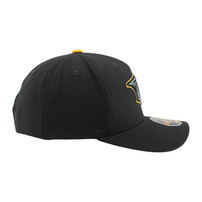 Nashville Predators Zephyr Black Element Hat