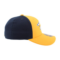Nashville Predators Zephyr Renner Flex Hat