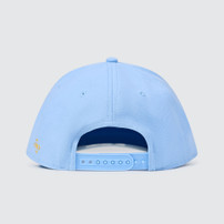 NASHVILLE PREDATORS NASH COLLECTION MENS CAROLINA SMASH HAT