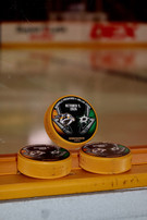 NASHVILLE PREDATORS MATCHUP PUCKS vs. Dallas Stars October 3rd