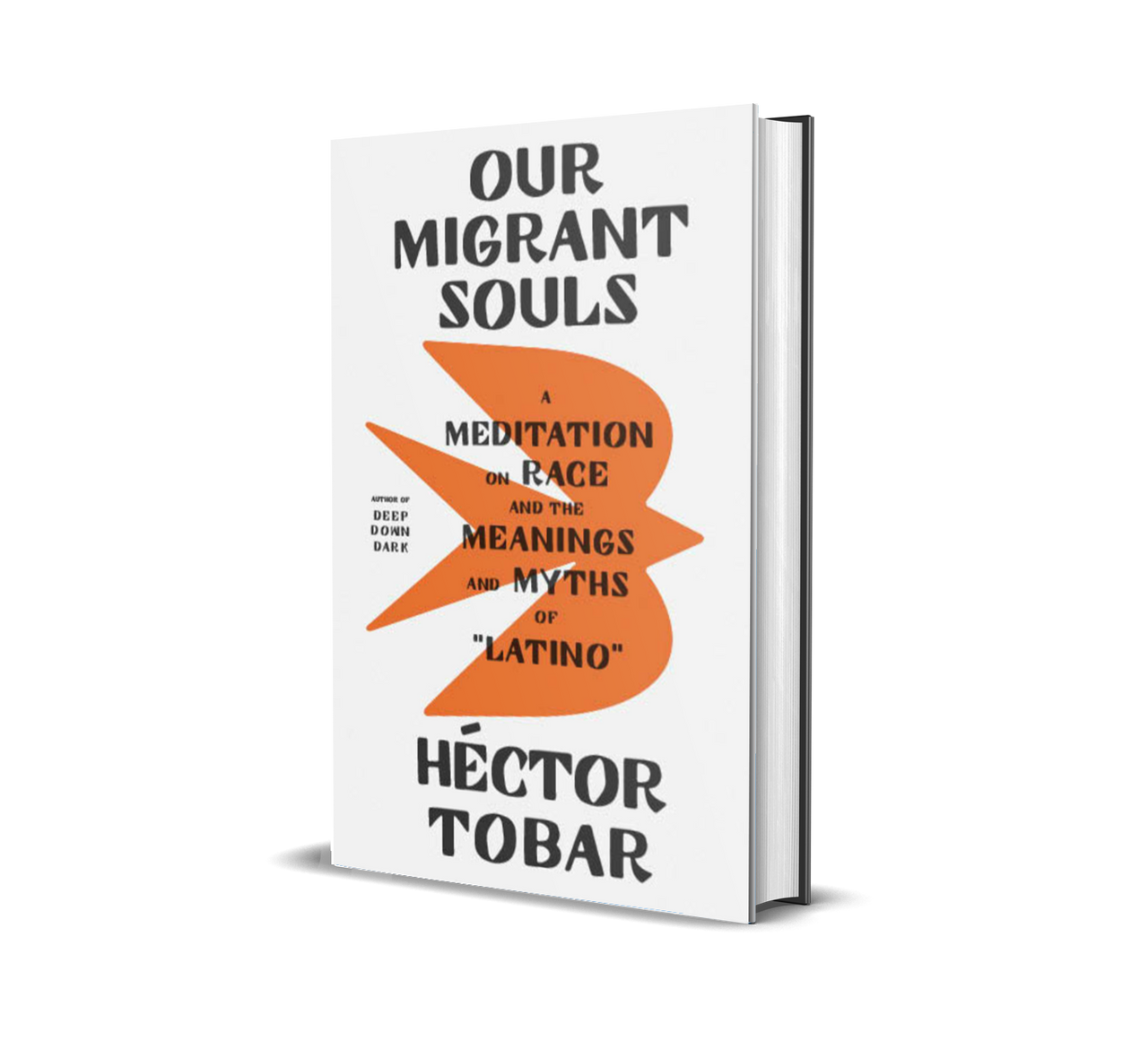 Our Migrant Souls