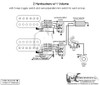 2 Humbuckers/3-Way Toggle Switch/1 Volume/Series Parallel