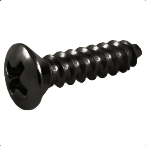 Pick Guard & Cover Plate Screws-Large/Black