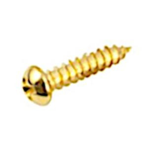 Bass Tuning Key & Arch Top Tailpiece Mounting Screw-Gold
