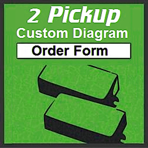 2 Pickup Custom Guitar Wiring Diagram Order Form