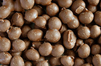 Chocolate Double Dipped Peanuts