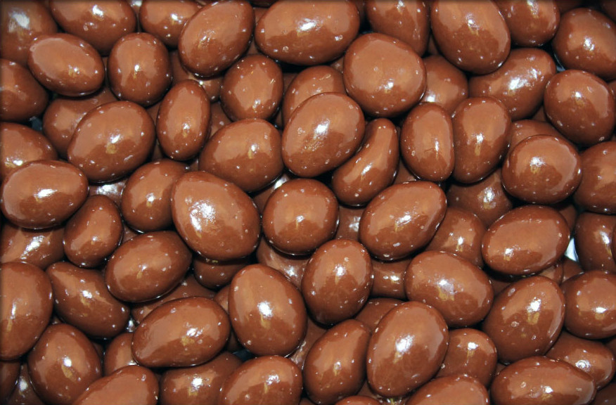 Chocolate Covered Almonds 