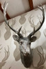 Grey Deer Head - Large