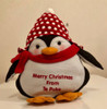 Merry Christmas From Te Puke Penguin
