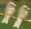 Clip-on Bird (assorted colours)