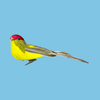 Bird - Yellow and Red Clip On