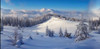 Background Cloth - Winter Forest