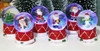 Red Drum Snowglobe with Lghts