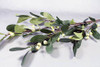 Cream and Green Mistletoe Spray