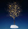 Butternut Tree - Clear Lt B/O