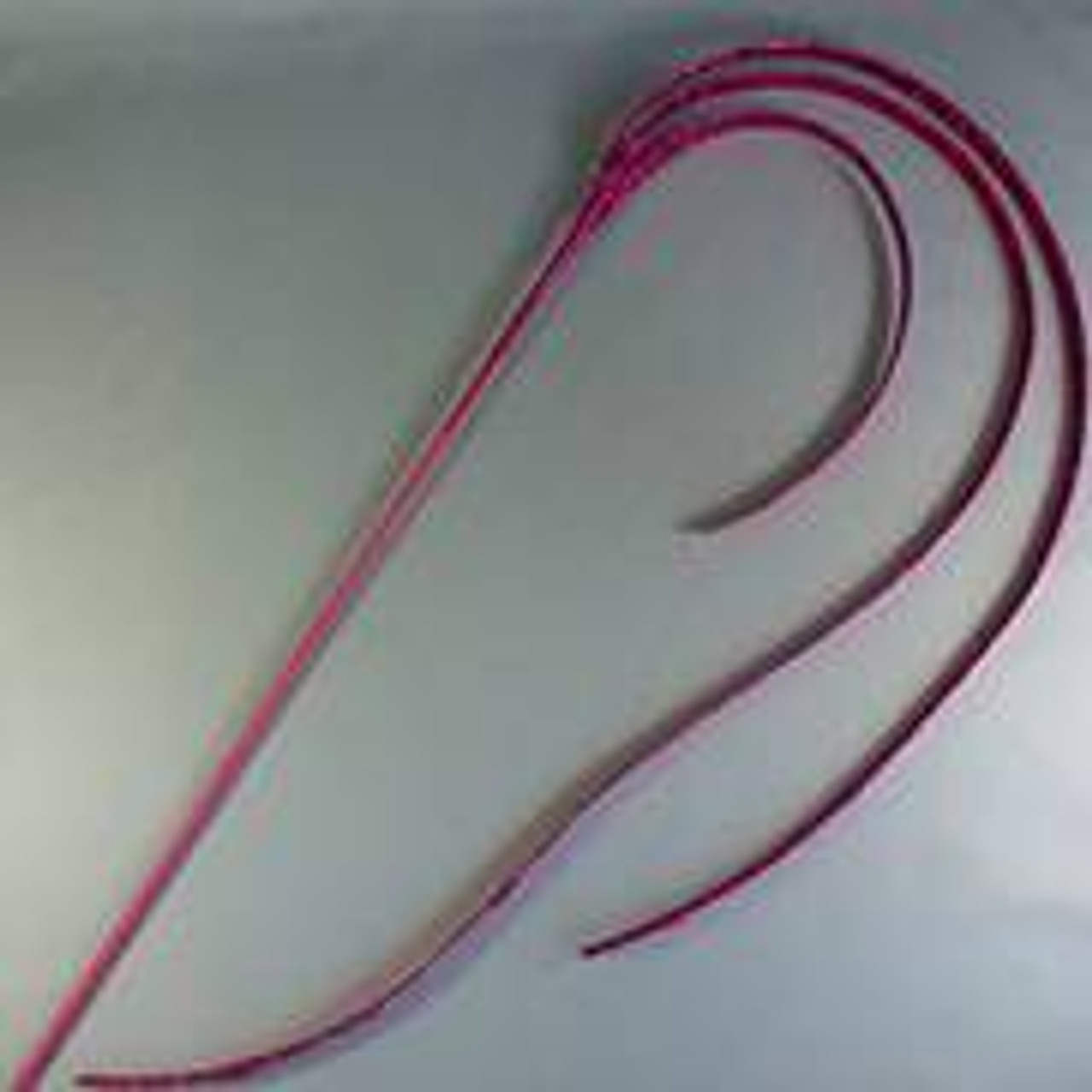Pink Whip Spray