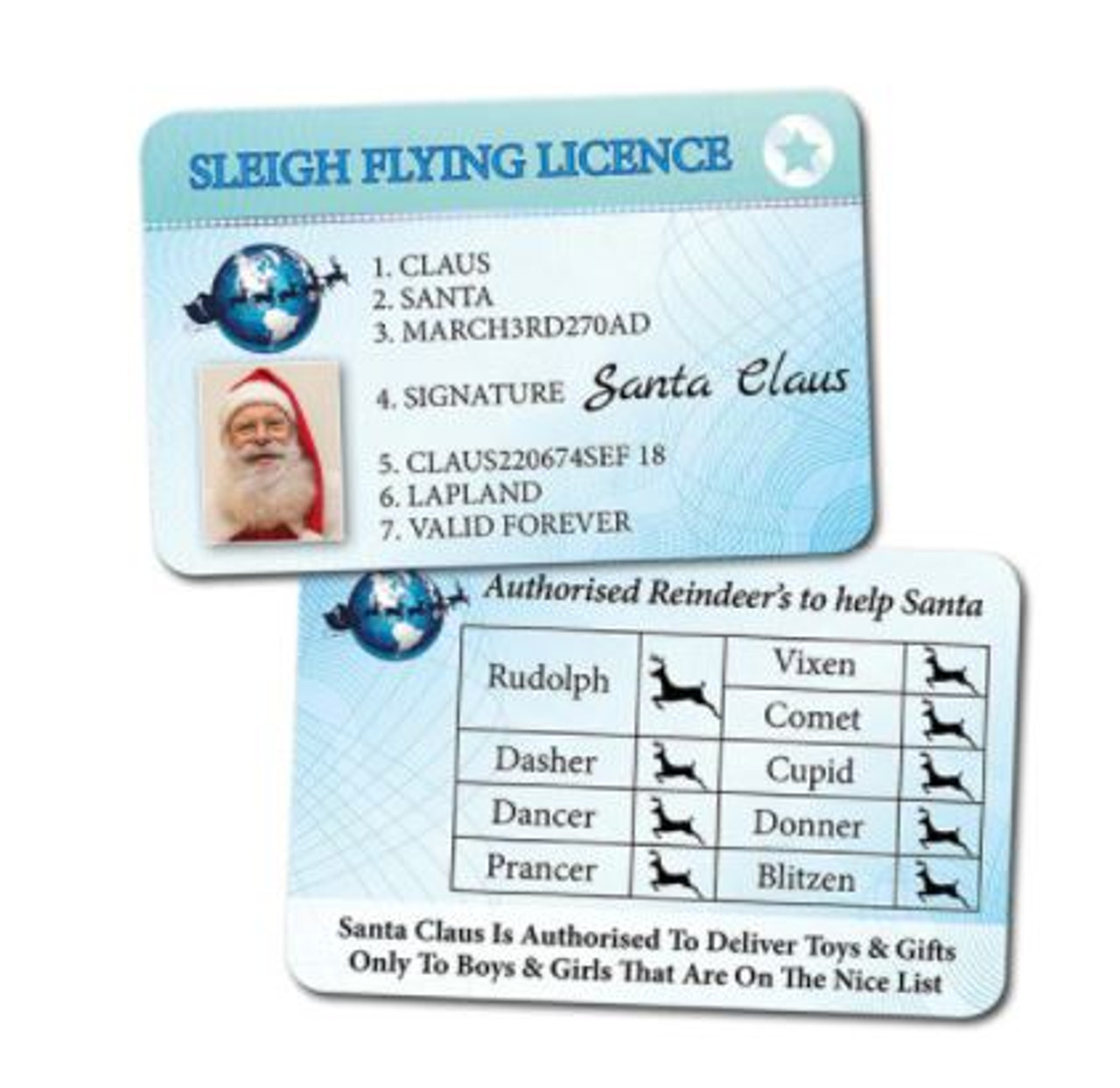Sleigh Flying Licence