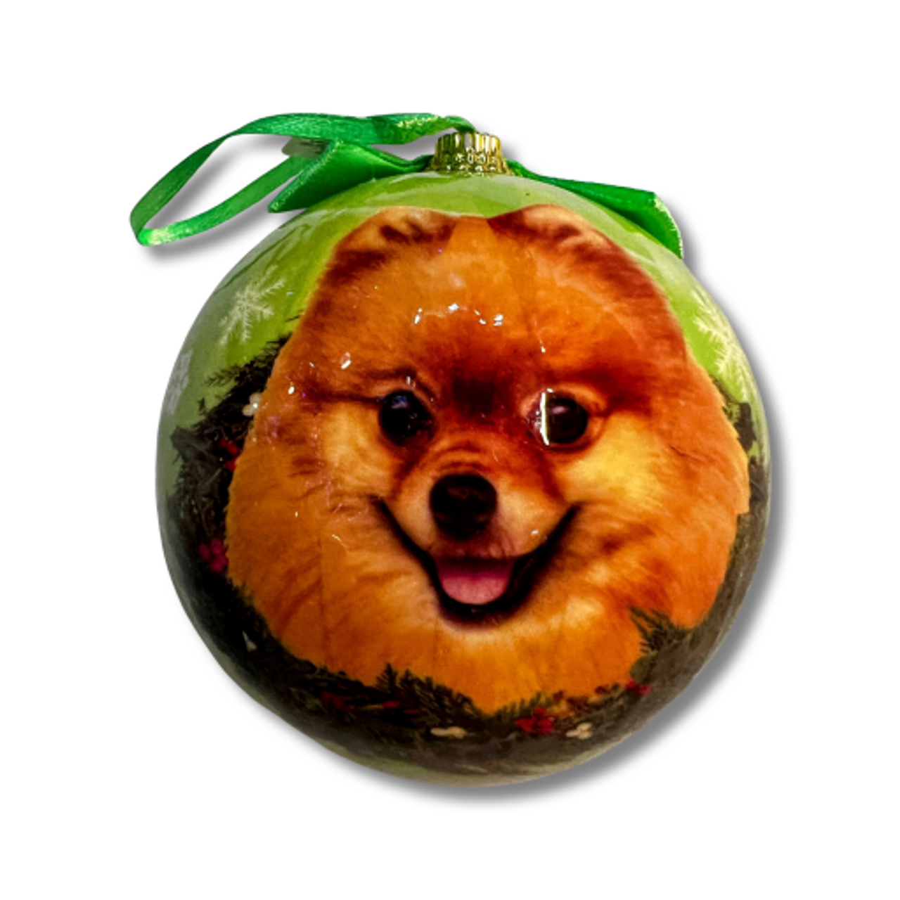 Pomeranian