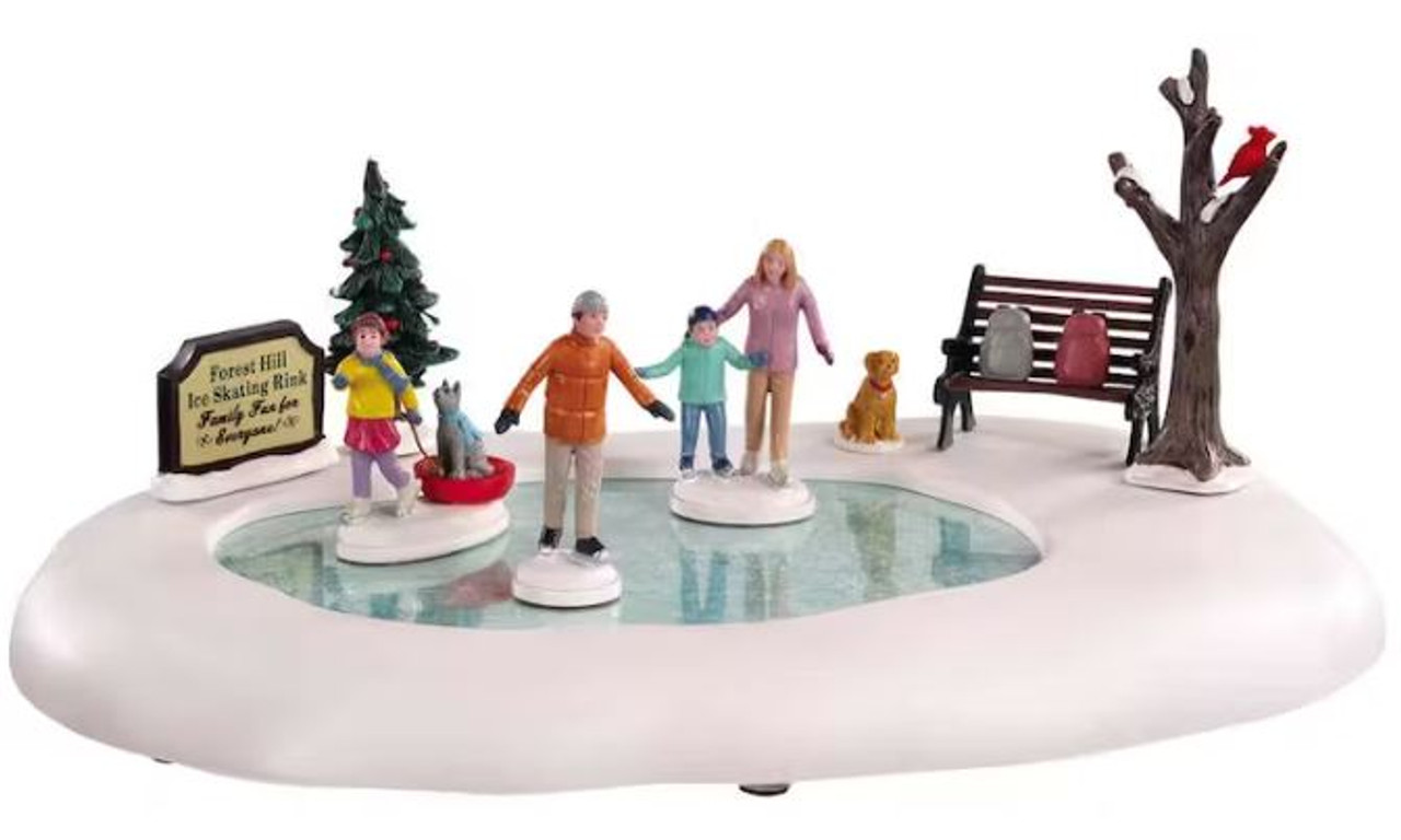 Family Skating Day