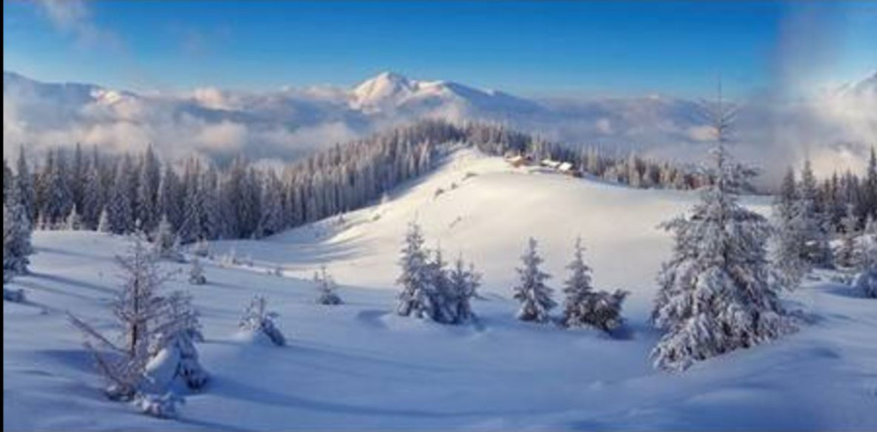 Background Cloth - Winter Forest