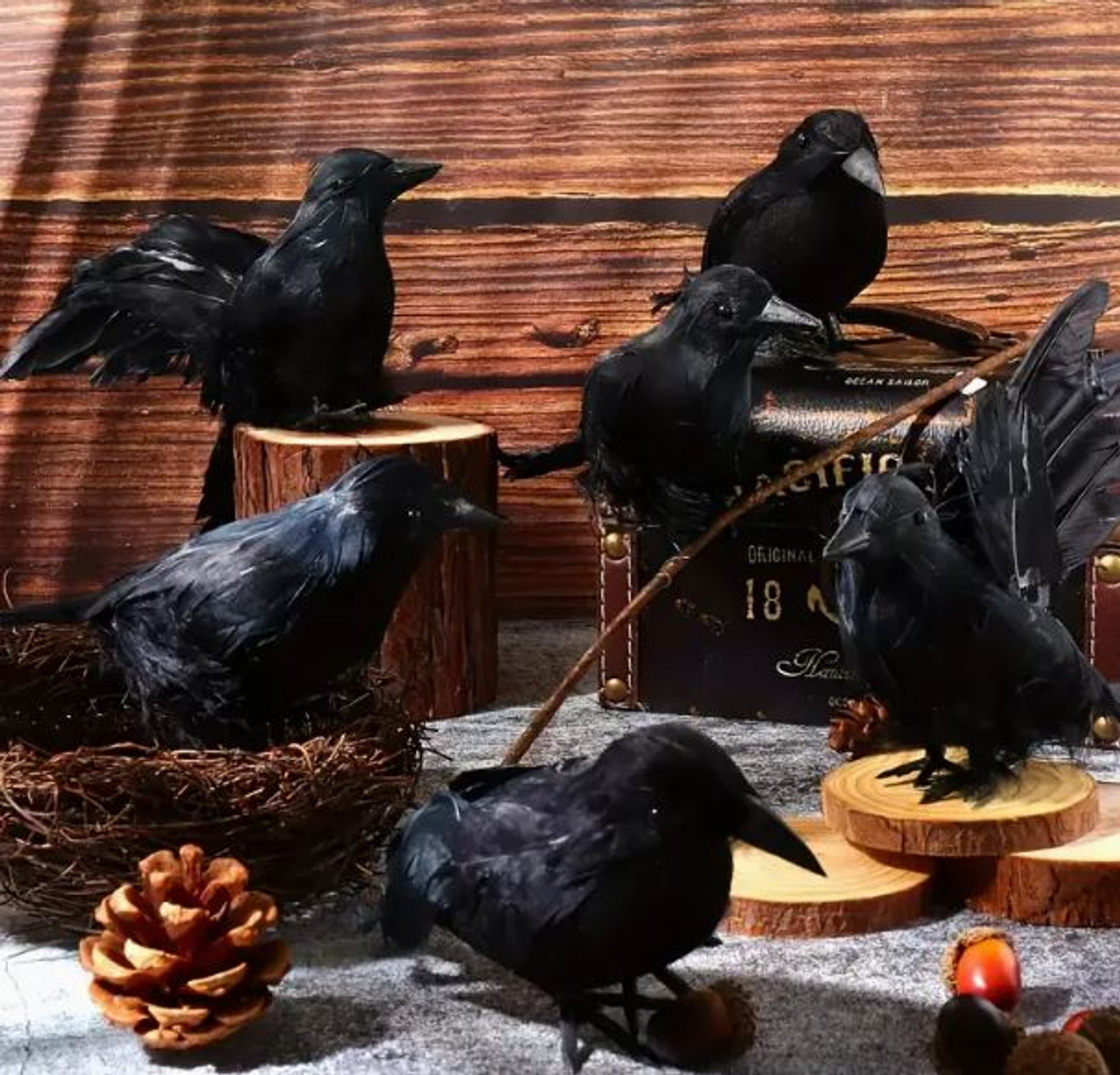 Halloween Black Raven