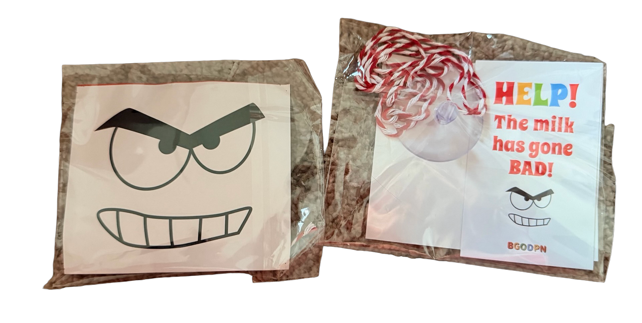 24 Days of Christmas Elf Accessories Boxed Set