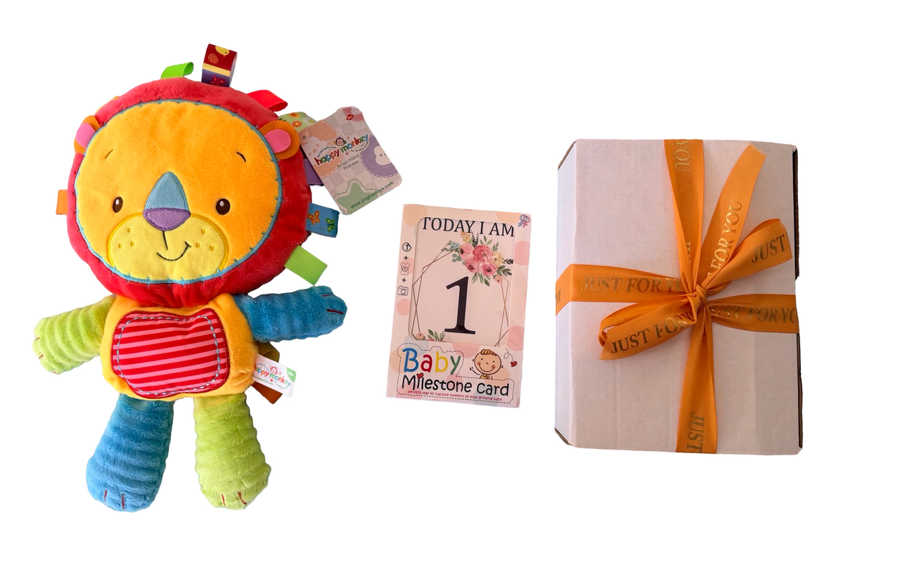 Plush Tag Toy & Milestone Cards Pack Boxed (asst)