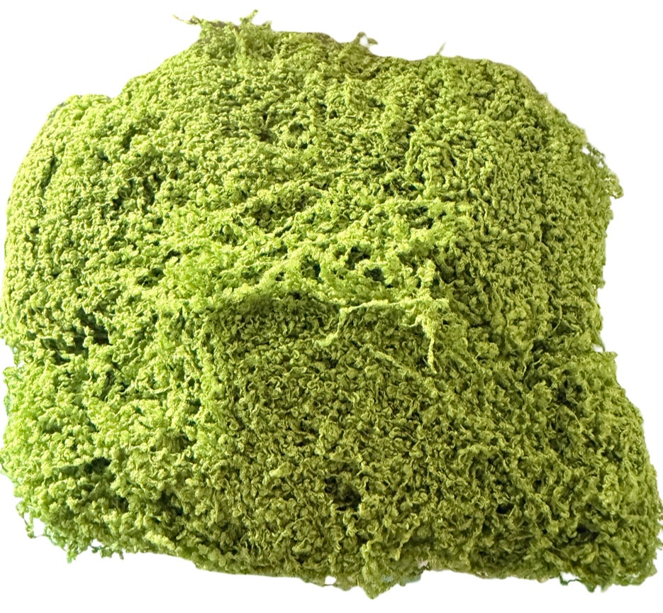 100gm Pack Realistic Artificial Moss