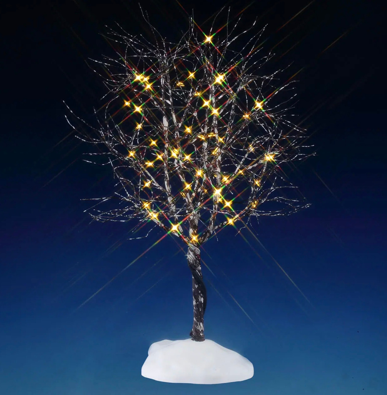 Butternut Tree - Clear Lt B/O