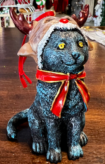 Cat with Reindeer Hat