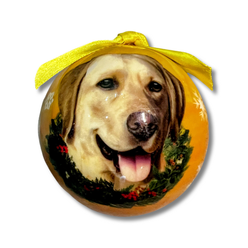 Labrador - Yellow