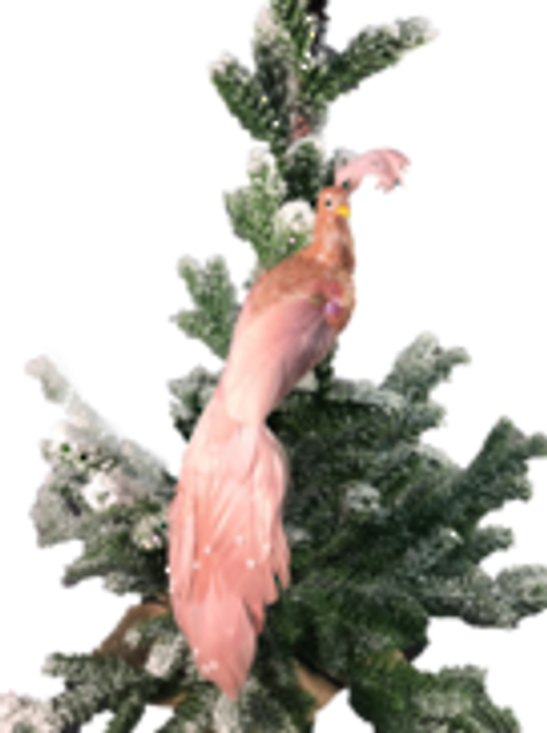 Blush Pink Feather Peacock