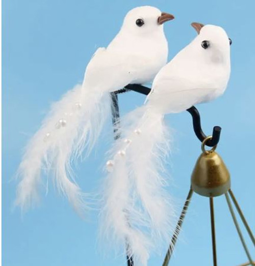 Beautiful White Dove