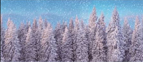 Background Cloth Snow Forest