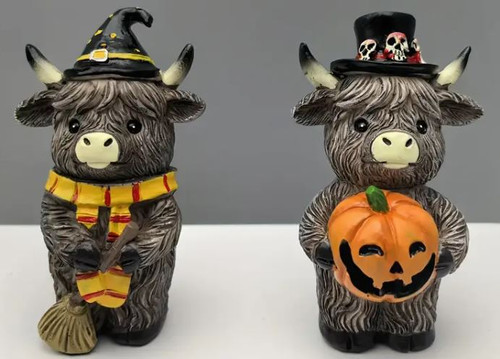 Halloween Highland Coo with Witch Hat