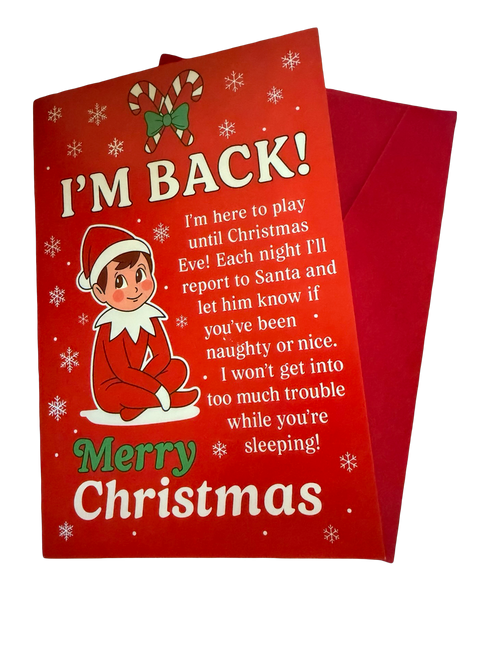 24 Days of Christmas Elf Accessories Boxed Set