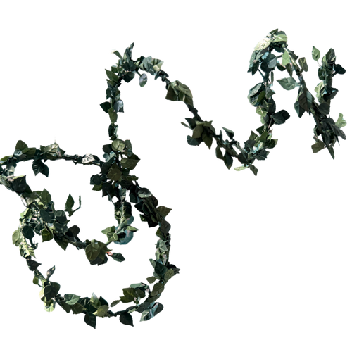 100cm Miniature Vine