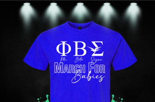 Zeta Sigma March of Dimes