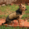 Mesh MOLLE Vest