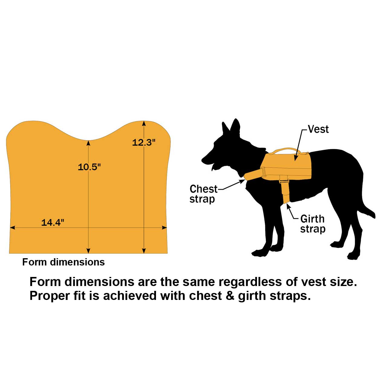 K9 Vest Graphic