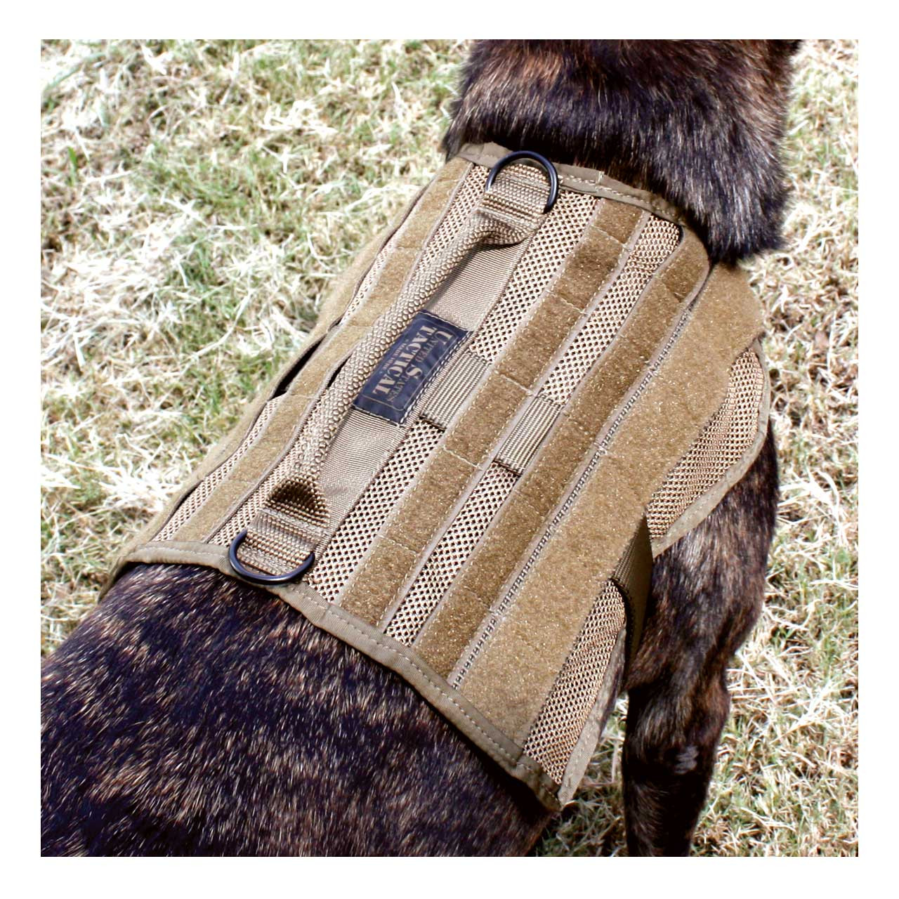 Mesh MOLLE Vest