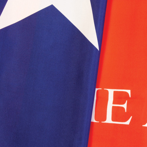 Flag - Texas Come & Take It/ AR Detail